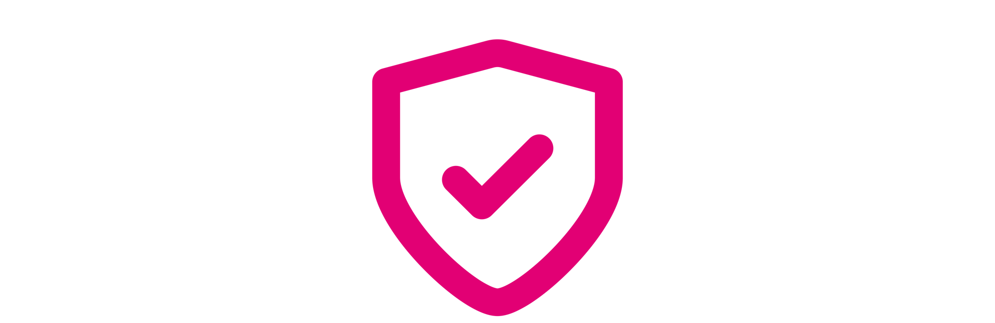 Sicher & souverän Icon